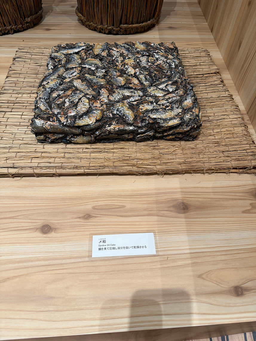 >�ܑ�͑D�̐ω�