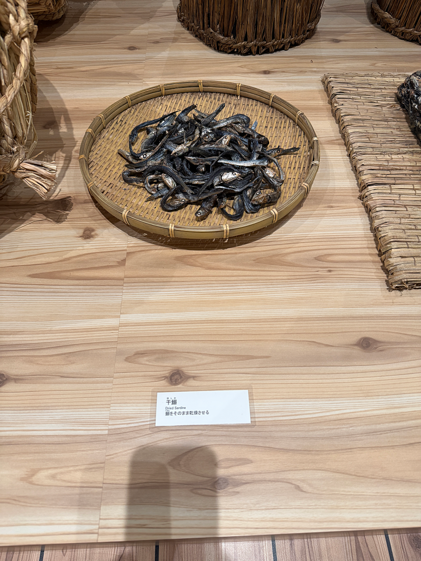 >�ܑ�͑D�̐ω�