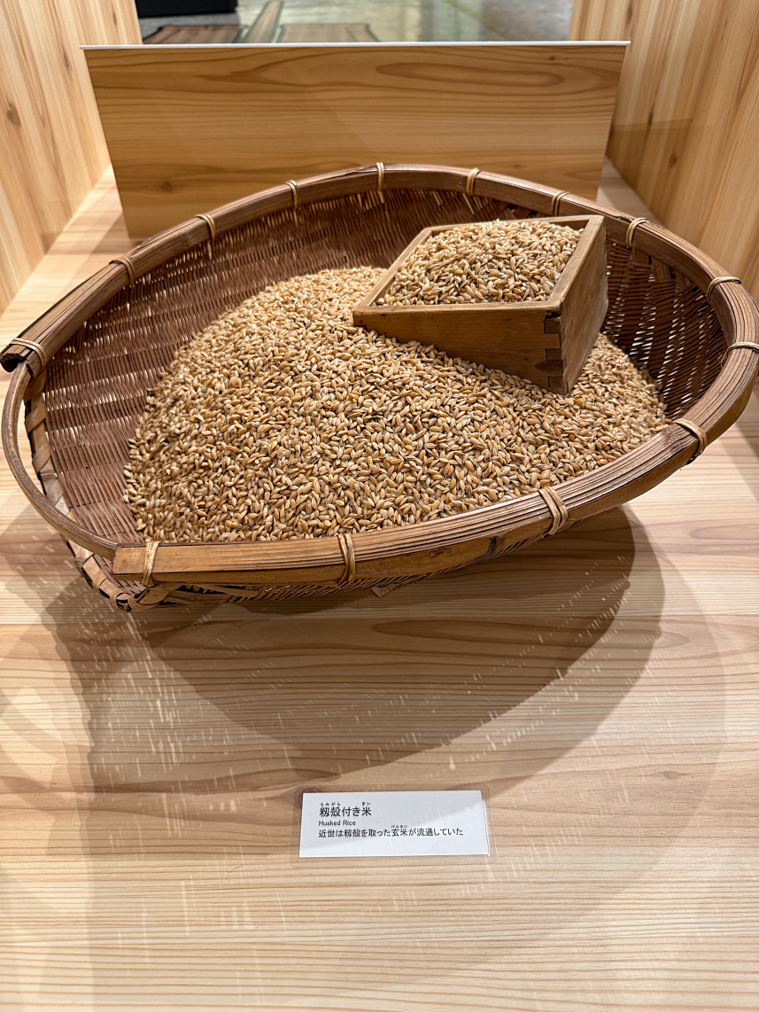 >�ܑ�͑D�̐ω�