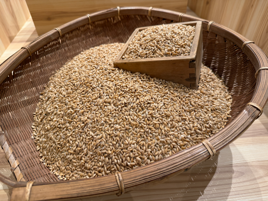 >�ܑ�͑D�̐ω�