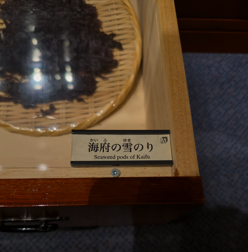 >zEnY