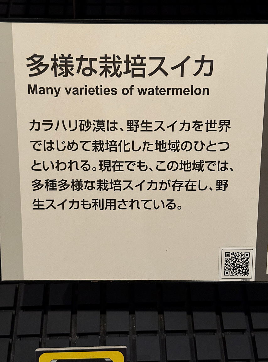 >͔|XCJ