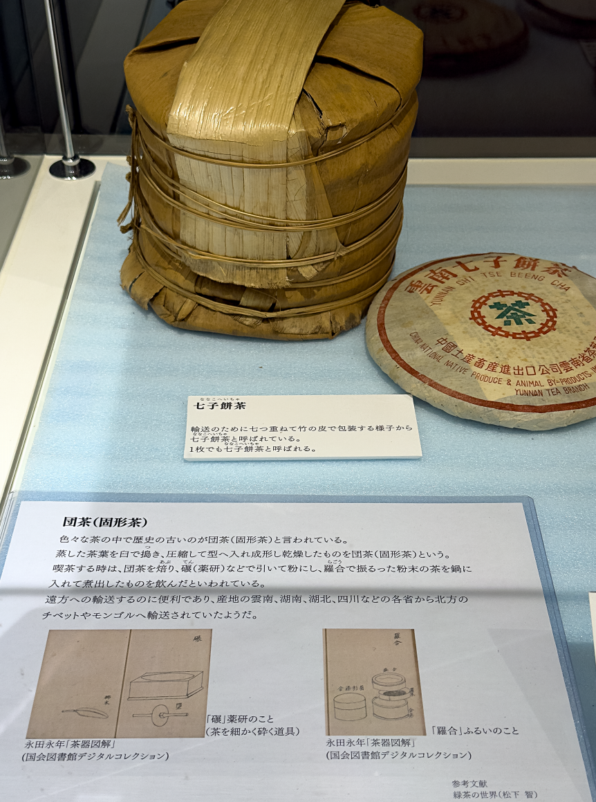 >�c���i�Ō`���j