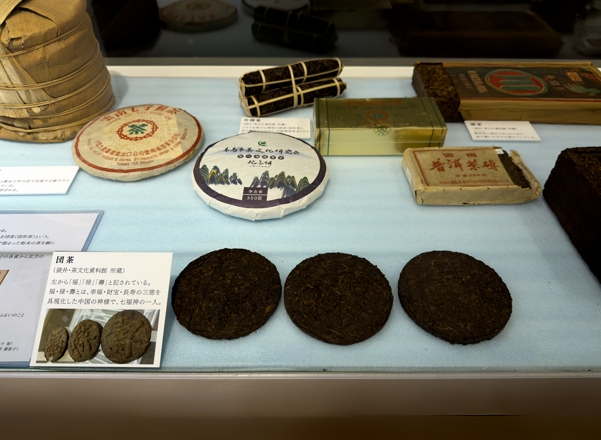 >�c���i�Ō`���j