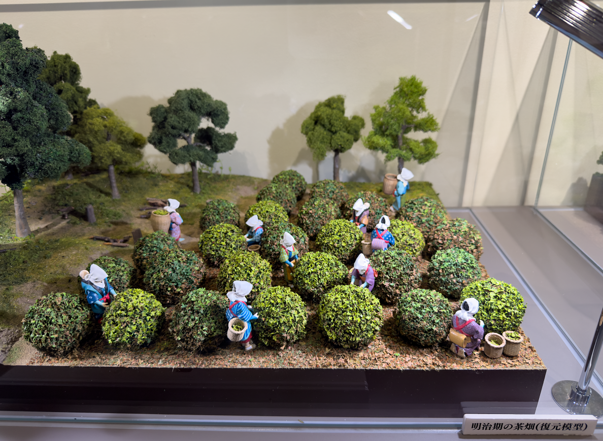 >�����i�����͌^�j