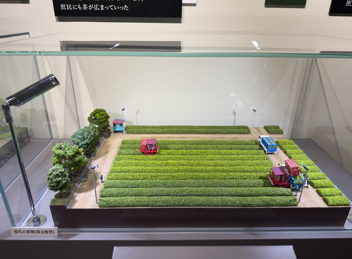 >�����i�����͌^�j