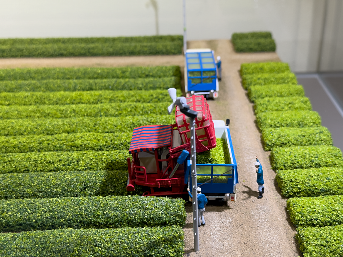 >�����i�����͌^�j